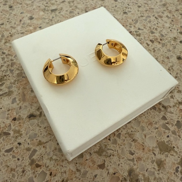 Jenny Bird Wide Hinged Hoop Earrings - Picture 4 of 8